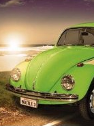 BEETLE
