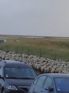 フランス旅行