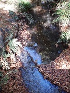 芥川