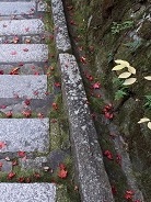 按察